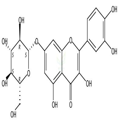 槲皮素-7-O-β-D-葡萄糖苷  CAS号：491-50-9