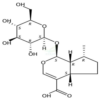 8-表去氧马钱酸  CAS号：88668-99-9