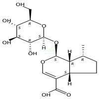 8-表去氧马钱酸  CAS号：88668-99-9