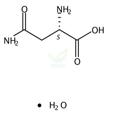 L-天冬酰胺一水  CAS号：5794-13-8