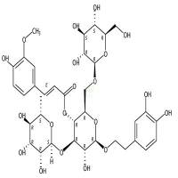焦地黄苯乙醇苷A1 CAS号:120444-60-2