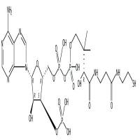 辅酶A  CAS号：85-61-0