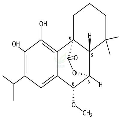 7beta-甲氧基迷迭香酚   24703-38-6