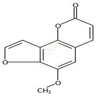 6-甲氧基当归素  CAS号：483-66-9
