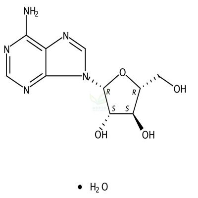 阿糖腺苷一水物  CAS号：24356-66-9