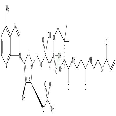 丙烯酰辅酶A  CAS号：5776-58-9
