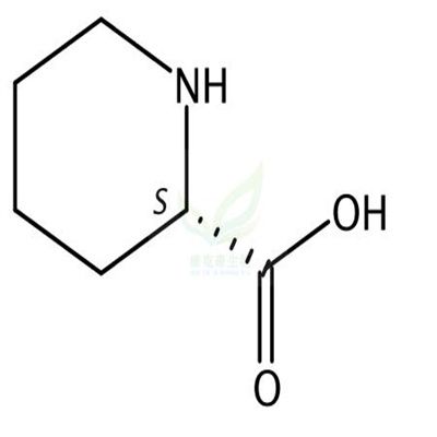 L-Pipecolic acid  CAS号：3105-95-1