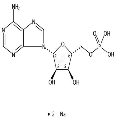 5-腺苷三磷酸二钠盐   CAS号：4578-31-8