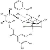 没食子酰芍药苷  CAS号：122965-41-7