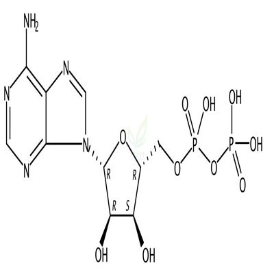 腺苷二磷酸  CAS号：58-64-0