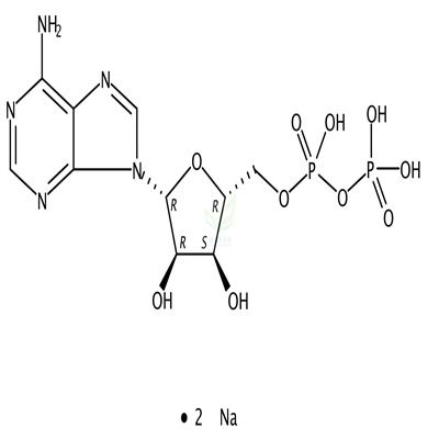 5-腺苷二磷酸二钠盐  CAS号：16178-48-6