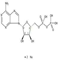 5-腺苷二磷酸二钠盐  CAS号：16178-48-6