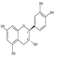 (-)-儿茶素  CAS号：18829-70-4