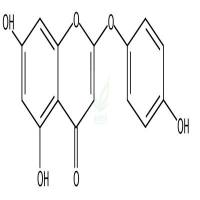 去甲氧基茵陈色原酮  CAS号：61854-36-2