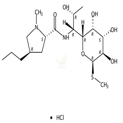 盐酸林可霉素  CAS号：859-18-7