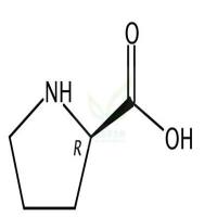 D-脯氨酸  CAS号：344-25-2