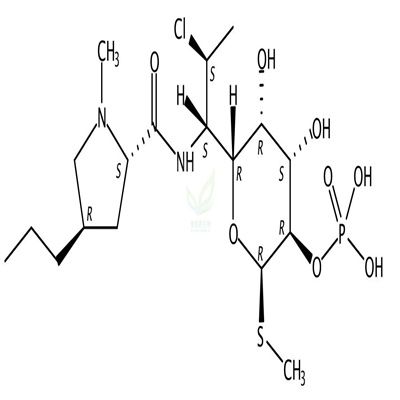 克林霉素磷酸酯  Clindamycin phosphate