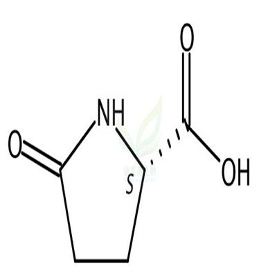 L-焦谷氨酸  CAS号：98-79-3