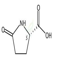 L-焦谷氨酸 CAS号:98-79-3