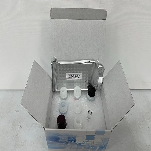 人双链RNA（dsRNA）ELISA检测试剂盒价格