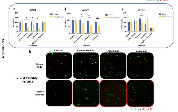 环特类器官免疫疗法，助力免疫药物研发及肿瘤科研！