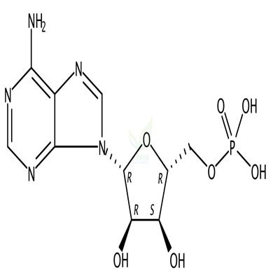腺苷一磷酸  CAS号：61-19-8