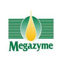 早期淀粉酶(热稳定性)( 芽孢杆菌 sp.)