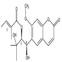 当归醇B CAS号:83156-04-1