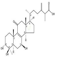 S-樟芝酸K  CAS号：741268-13-3