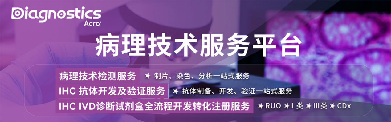 【助力药物早期开发】IHC抗体开发、评估及验证服务