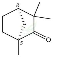 D(+)-茴香酮  CAS号：4695-62-9
