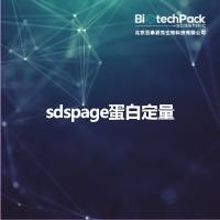sdspage蛋白定量