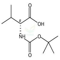 BOC-D-缬氨酸  CAS号：22838-58-0