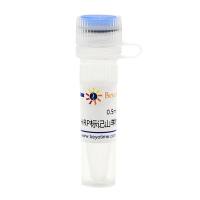 辣根过氧化物酶标记山羊抗大鼠IgG(H+L)