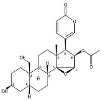 华蟾毒精醇  CAS号：6691-83-4