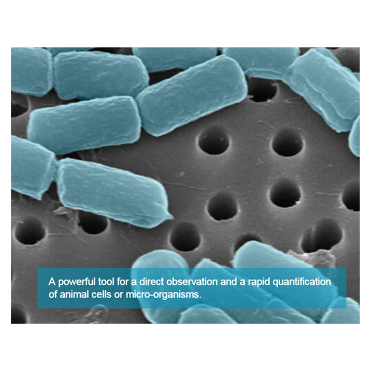 比利时It4ip核孔膜在中药液分离纯化中的应用