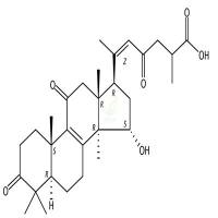 CAS号：1961358-01-9