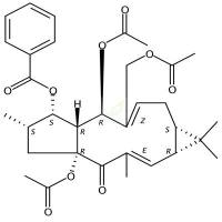 千金子素L7b CAS号:93550-95-9