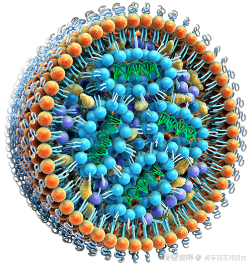 核酸药物递送系统——脂质纳米颗粒（LNP）