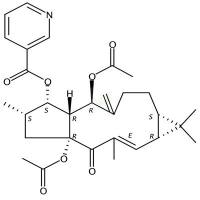 千金子素L8   CAS号：218916-53-1