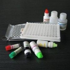 人白介素18(IL-18)ELISA试剂盒