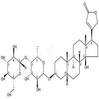 洋地黄毒苷元葡萄糖基岩藻糖苷 CAS号:2446-63-1