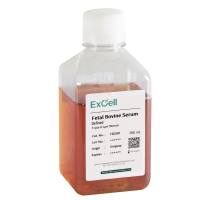优级胎牛血清Fetal Bovine Serum