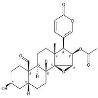 19-氧代华蟾毒精  CAS号：24512-59-2