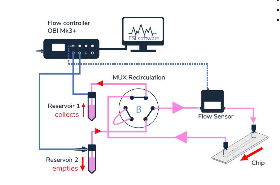 基于ELVEFLOW微流控技术的类器官芯片在肺癌精准治疗中的应用