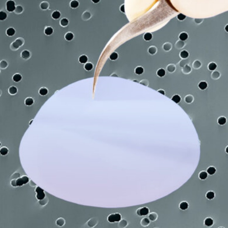 比利时It4ip核孔膜在中药液分离纯化中的应用