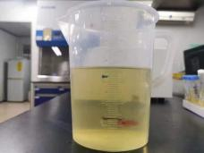 「舆众不同，指鼠为鸭」引人深思的同时还需预防这项疾病