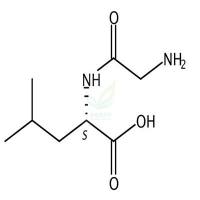 L-甘-白二肽  CAS号：869-19-2