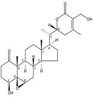 二氢醉茄素A  CAS号：5589-41-3