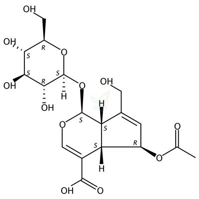 6-O-乙酰鸡屎藤次苷  CAS号：118292-15-2